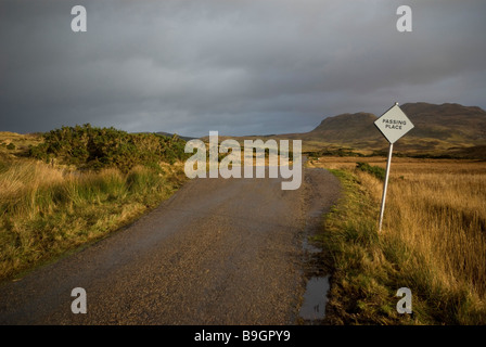 Straßenschild auf Ardnamurchan Halbinsel, Western Highlands, Schottland Stockfoto