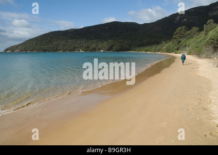 Einsamer Wanderer am Strand von Sealers Cove, Wilsons Promontory National Park, Australien Stockfoto