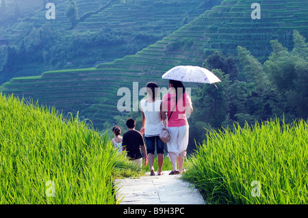 China, Provinz Guangxi, Longsheng Dragon Backbone-Reis-Terrassen in der Nähe von Guilin. Touristen zu Fuß durch die Reisfelder. Stockfoto