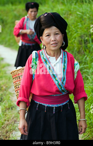 China, Provinz Guangxi, Longsheng Dragon Backbone-Reis-Terrassen in der Nähe von Guilin. Yao-Frauen in traditioneller Kleidung Stockfoto