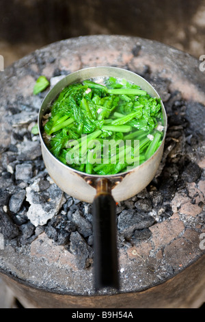 Grüns Kochen im Topf auf Herd Hanoi Vietnam Stockfoto