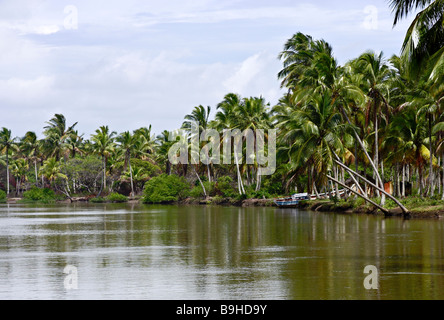 Flusslandschaft im nördlich von Ilha Atalaia Canavieiras Bahia Brasilien Südamerika Stockfoto