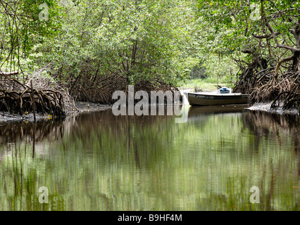 Einsame Boote in Mangroven Canavieiras Bahia Brasilien Südamerika Stockfoto