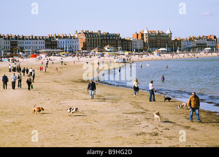 Passanten, die ihre Hunde am Strand von Weymouth. Dorset. VEREINIGTES KÖNIGREICH. Ferien-Resort-Hotels und Pensionen in den Hintergrund. Stockfoto