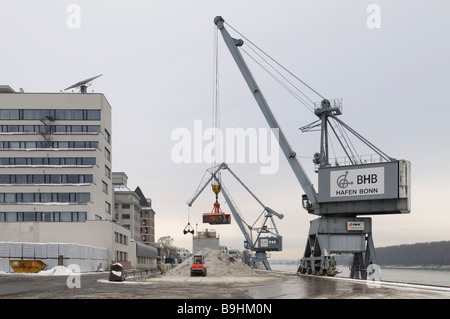 Massengutumschlag, Bonn Hafen, Kran heben Salz, kleine Bagger schieben bergauf Salz, North Rhine-Westphalia, Germany, Stockfoto