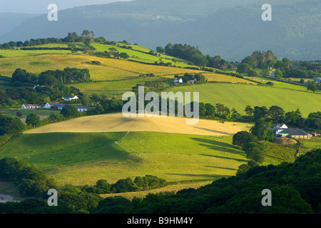 Einen frühen Abend Blick von Conwy Valley, North Wales, Vereinigtes Königreich Stockfoto