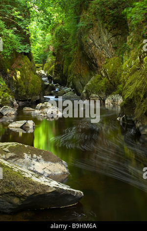 Fairy Glen in der Nähe der Ortschaft Betws-y-Coed in Conwy Valley, Snowdonia-Nationalpark, Wales, Vereinigtes Königreich Stockfoto