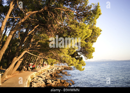 Kroatien Dalpatia Makarska Riviera Brela Promenade Föhrenwald Europas Ziel Ferienort Adria mediterran Stockfoto