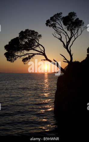 Kroatien Dalpatia Makarska Riviera Brela Küste Bäume silhouette Sonnenuntergang Europa Ziel Meer Mittelmeer Adria Natur Stockfoto