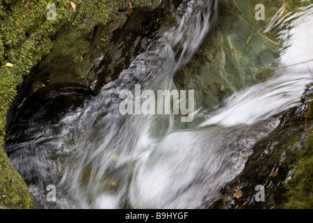 Wasser vereint zwischen Felsen, Dartmoor Nationalpark, Devon Stockfoto