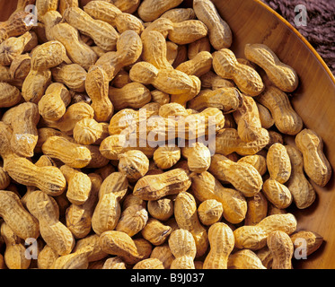 Erdnüsse (Arachis Hypogaea) Stockfoto