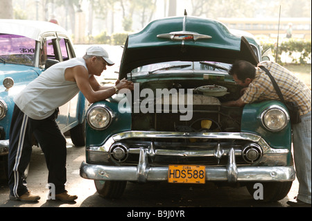 Männer, die Prüfung alten Autos mit geöffneter Haube, Havanna, Kuba, Mittelamerika Stockfoto