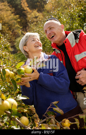 Alten paar Äpfel pflücken Stockfoto