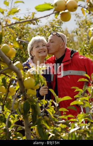 Alten Paar küssen in einem Obstgarten Stockfoto