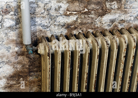 Alte Heizkörper mit Farbe abplatzt montiert an feuchten Kellerwand, vor der Renovierung, Heizsystem vor Renovierung, Deutschland Stockfoto