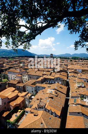 Lucca, Panoramablick über die Dächer, Toskana, Italien, Europa Stockfoto