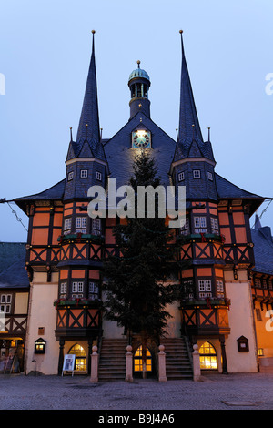 Historisches Rathaus von Wernigerode mit einem Weihnachten Baum, Nacht Foto, Harz, Sachsen-Anhalt, Deutschland, Europa Stockfoto