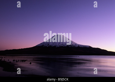 Vulkan Parinacota und Lago Chungara, Nationalpark Lauca, Chile, Südamerika Stockfoto