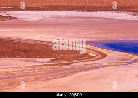 Salar de Quisquiro, Atacama-Wüste, Chile, Suedamerika Stockfoto