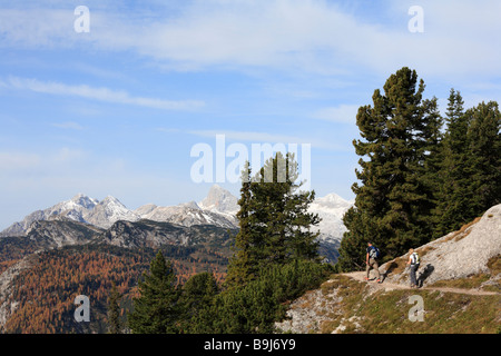 Wandern Wanderweg und Schweizer Kiefern auf Mt Stoderzinken in der Nähe von Groebming, im hinteren Bereich von Dachstein, Steiermark, Austria, Europe Stockfoto