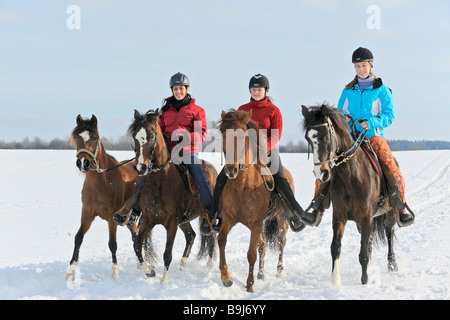 Junge Fahrer während der Fahrt im Winter auf der Rückseite des Paso Fino Pferde Stockfoto