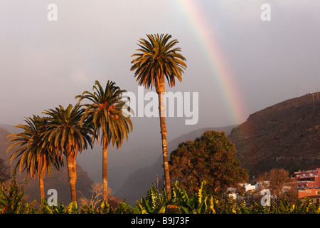 Dates mit Palmen (Phoenix Dactylifera) und Regenbogen in Playa de Santiago, La Gomera, Kanarische Inseln, Spanien, Europa Stockfoto