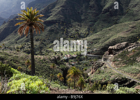 Lo del Gato, Barranco de Benchijigua, La Gomera, Kanarische Inseln, Spanien, Europa Stockfoto