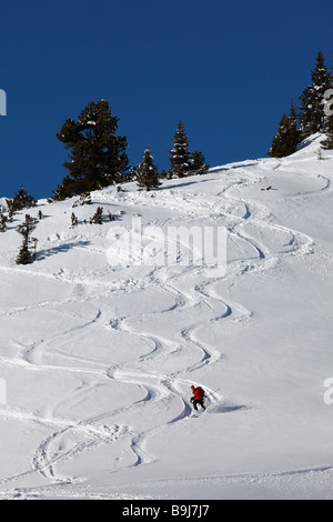 Langlaufloipen im Tiefschnee, Rofan Ski Gebiet, Rofan Range, Tirol, Austria, Europe Stockfoto