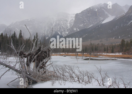 Zugefrorenen See unter Mount Yamnuska nahe Canmore, Alberta, Kanada Stockfoto