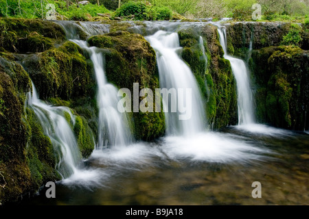 Kleine Wasserfälle in Lathkill Dale National Nature Reserve in der Peak District National Park, Derbyshire Stockfoto