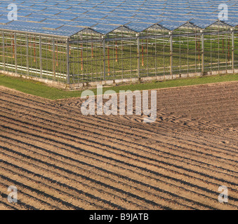 Gewächshäuser im Acker Stockfoto