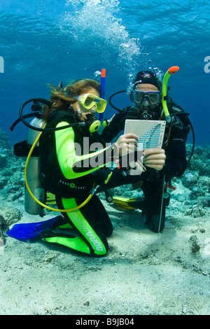 Tauchen Lehrer mit ein Kind tun Quaification der Taucher im Meer, hält der Dekompression Tabelle, Indonesien Stockfoto