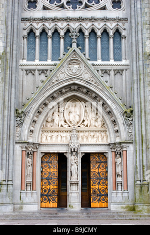 Die detaillierte Skulptur der Eingang zum St. Colman Kathedrale in Cobh, County Cork, Irland Stockfoto