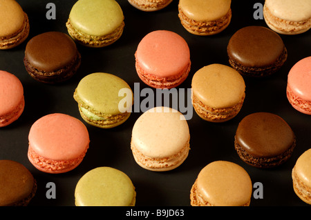 Farbige Makronen, La Baroche, Elsass, Frankreich, Europa Stockfoto