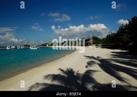 Palm-Baum Schatten, Full Moon Resort, Malediven, Indischer Ozean Stockfoto