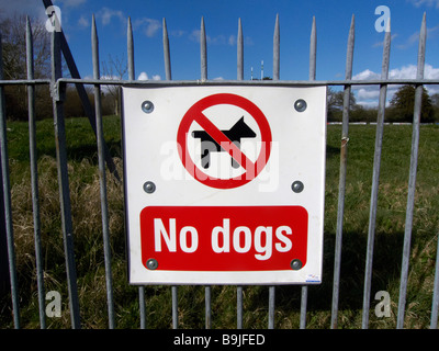 keine Hunde-Zeichen Stockfoto