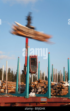 Log LKW-Fahrer mit LKW-Kran und Verladung Protokolle zu Ladung Log Zugwagen auf Eisenbahndepot im Winter. Finnland Stockfoto