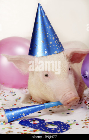 Ferkel-Kleider, die oben feiert party "die Sau out-Blätter" Porträt Fasching Silvester Feier Silvester Geburtstag Stockfoto