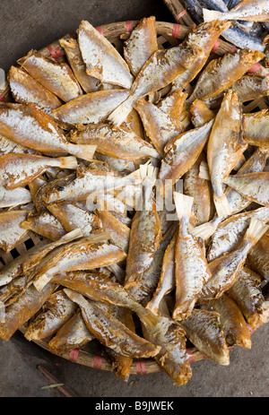 Getrocknete Fische Stall im alten Viertel Markt Hanoi Vietnam Stockfoto