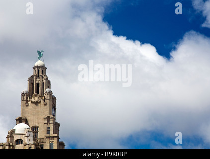 Leber Vogel auf Uhr Turm der Leber Gebäude Stadt Liverpool Merseyside Lancashire Nordwest England Großbritannien GB Stockfoto