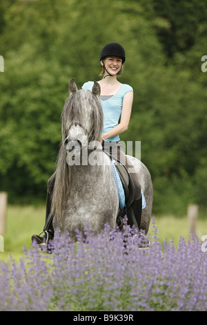 junge Frau reitet auf reines Spanisch gezüchtet Stockfoto