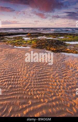 Blick auf die Nordsee vom Strand bei Bamburgh an der Northumberland Küste am Abend. Fotografiert im Juni Stockfoto