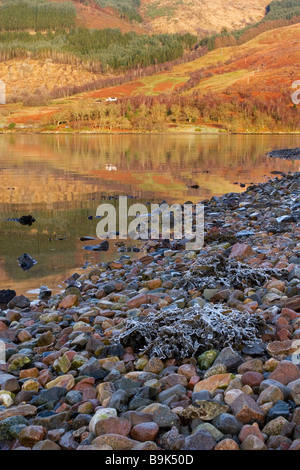 Reflexionen im Loch Leven im Dorf Invercoe in der Nähe von Ballachulish, Glencoe, Argyll, Highlands, Schottland Stockfoto