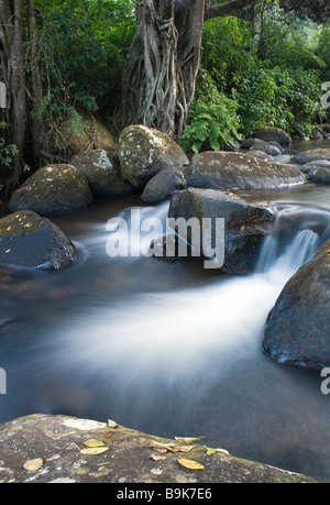 Ein kleiner Wasserfall auf einen Stream in Zomba Plateau bei einer langsamen Verschlusszeit fotografiert Stockfoto