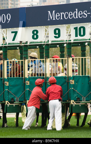 Pferderennen in Shatin Racecourse Hong Kong 2009 Stockfoto