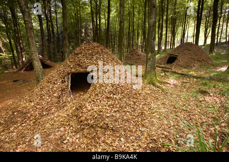 Blatt-Tierheim in Dorset Wald, England, UK Stockfoto