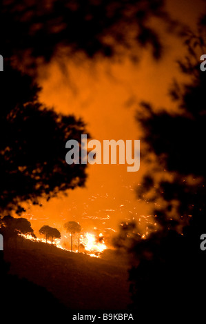 Buschfeuer in der Sierra de Mijas in Südspanien Stockfoto