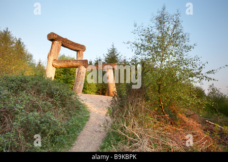 "Platz" der Riese Stuhl Beechenhurst Sculpture Trail Wald des Dekans Stockfoto