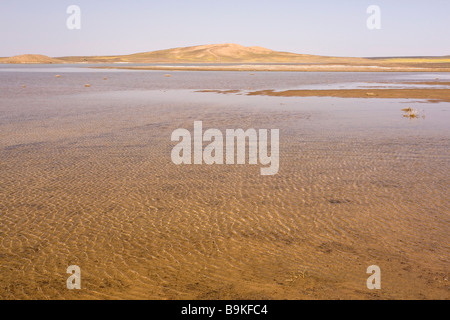 Temporäre See und Dünen in den hohen Sanddünen des Erg Chebbi in der Nähe von Merzouga marokkanische Sahara Wüste Stockfoto