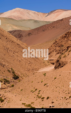 Reserva Provincial Las Vicuñas und der Laguna Brava hohen Anden Argentinien Stockfoto